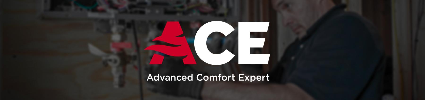 8 reasons to become and ACE Dealer